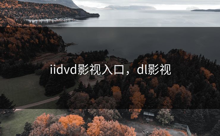 iidvd影视入口，dl影视